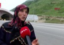 Sözcü Gazetesi - Tünelde otomobilin çarptığı ineğin sahibine büyük şok