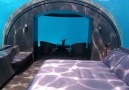 Underwater Hotel Room in the Maldives... - Travel With Alex