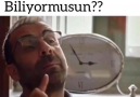 Yalan Aşklar Alemi alemdesin.net - Yanlizlik