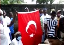 Yeni Şafak - Togo&Ayasofya&ibadete açılması kararıyla kurban kesildi